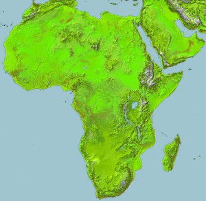 Middle East and Africa